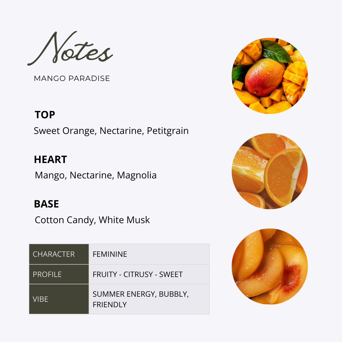 MANGO PARADISE for women