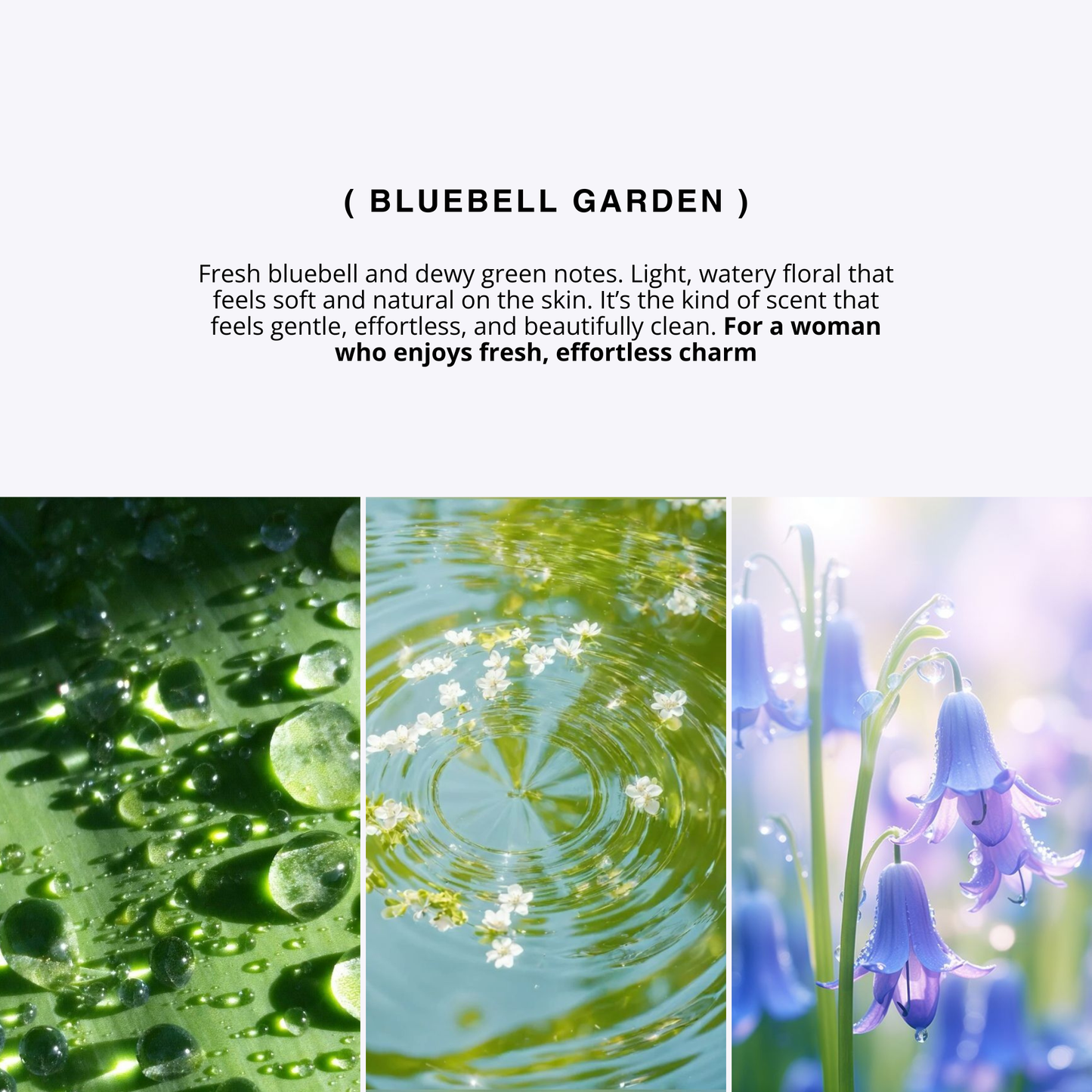BLUEBELL GARDEN for women