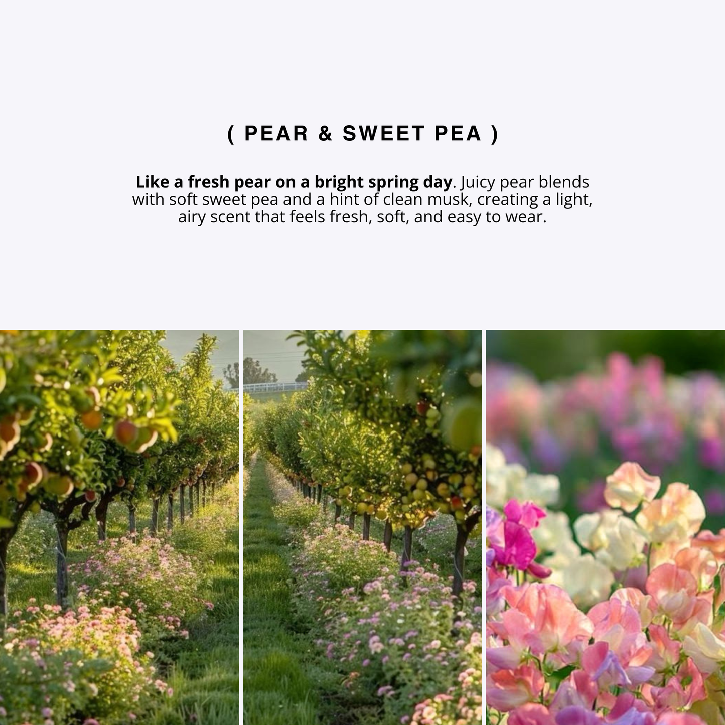 PEAR & SWEET PEA for women