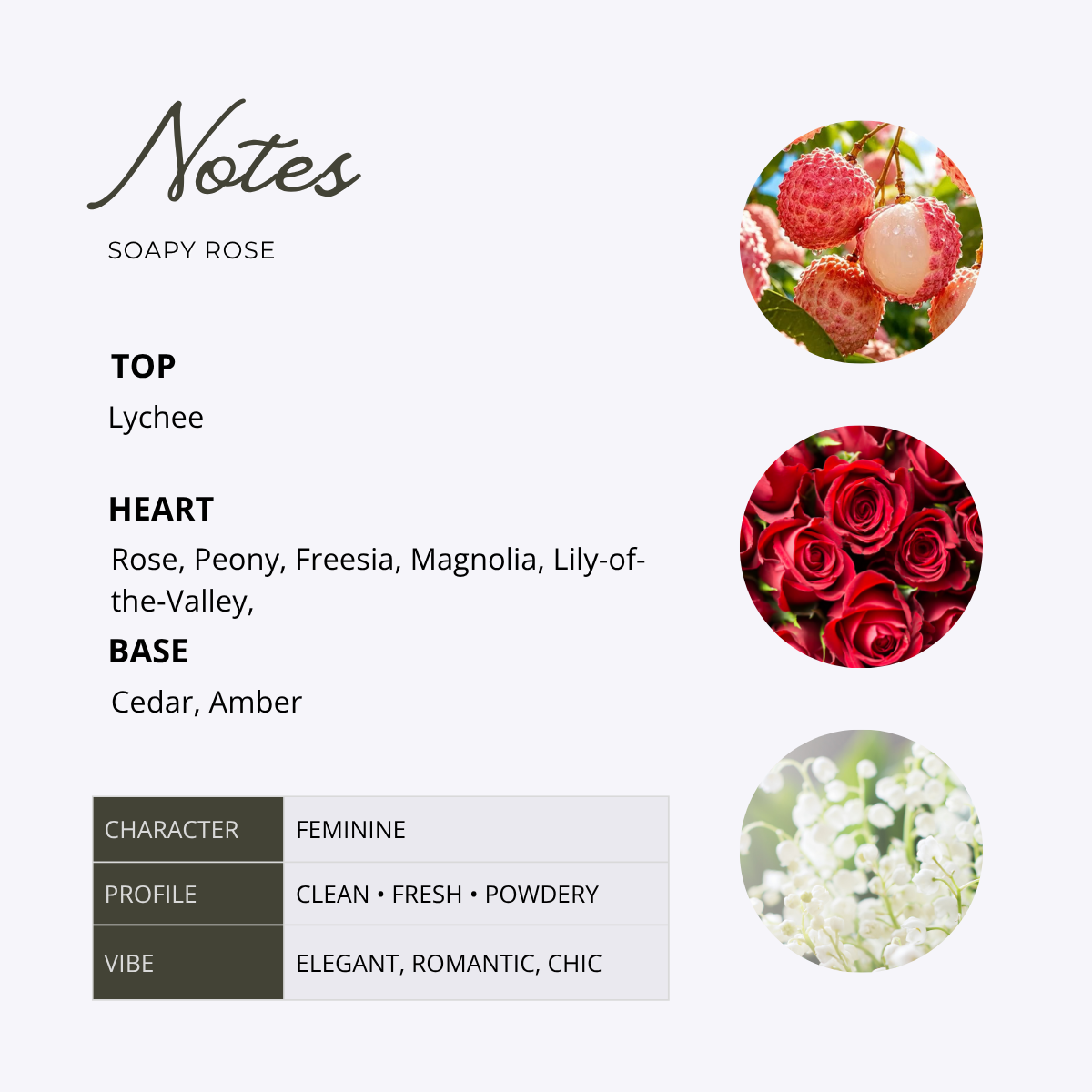 SOAPY ROSE for women