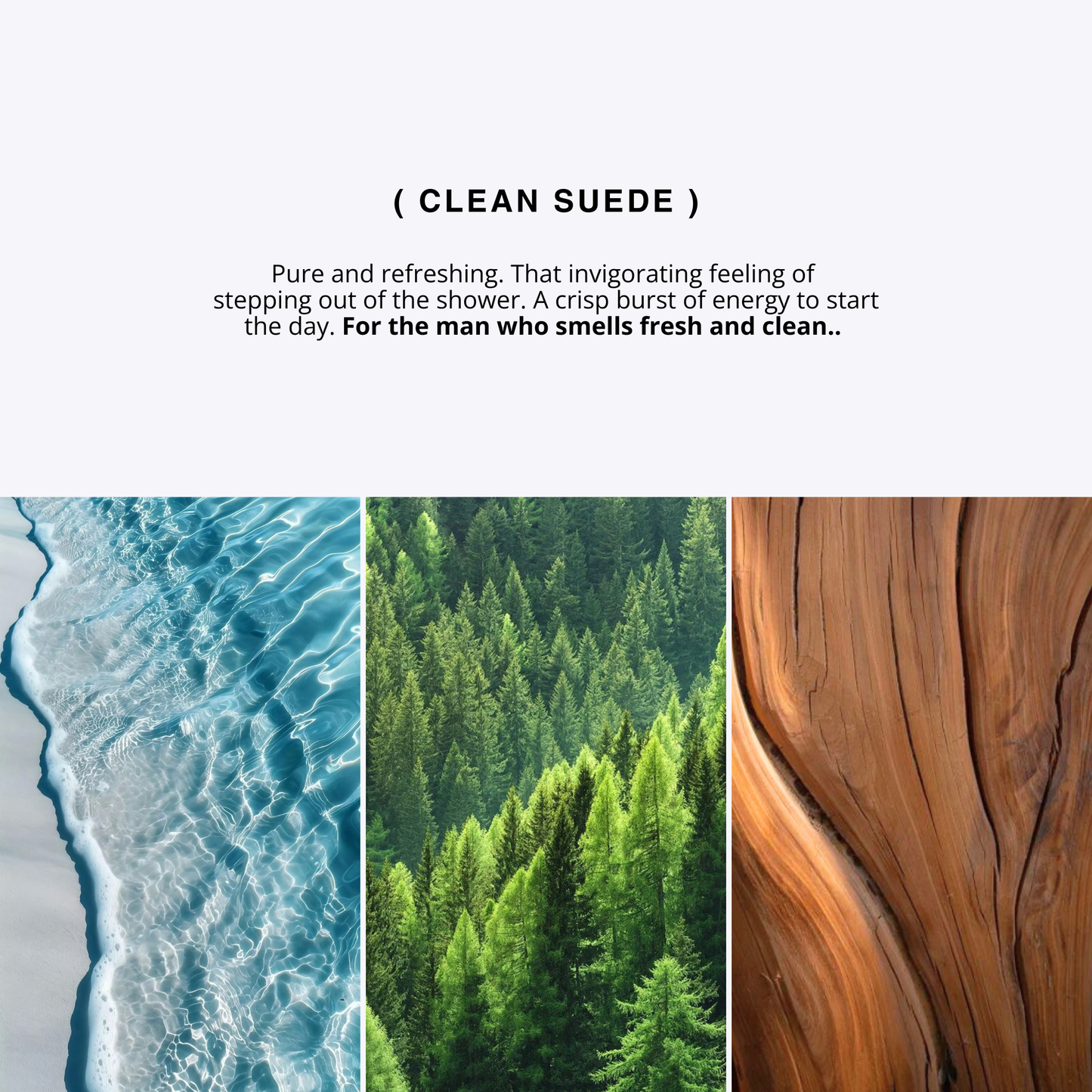 CLEAN SUEDE for men