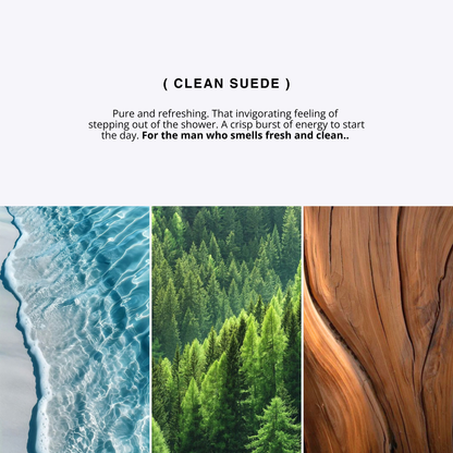 CLEAN SUEDE for men
