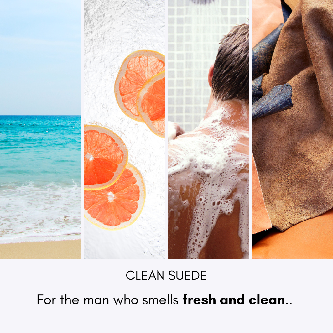CLEAN SUEDE for men